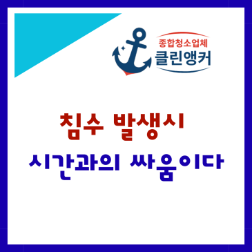 침수청소 콘텐츠
